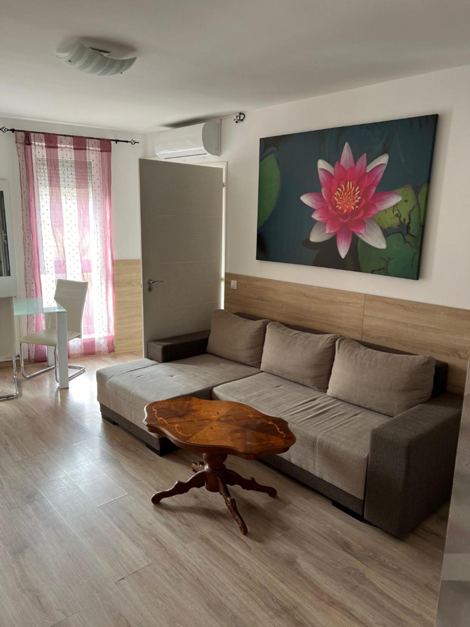 Sweet Dream Guesthouse Szeged Extérieur photo